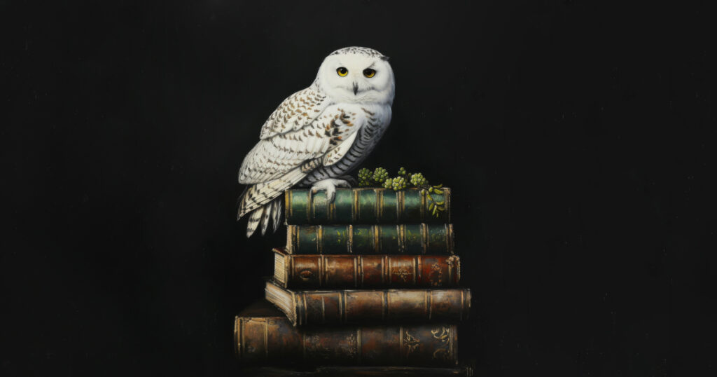 Best fantasy books for teens that aren't Harry Potter — a curated list including Connected by Blood & Keys by T.J. Smith